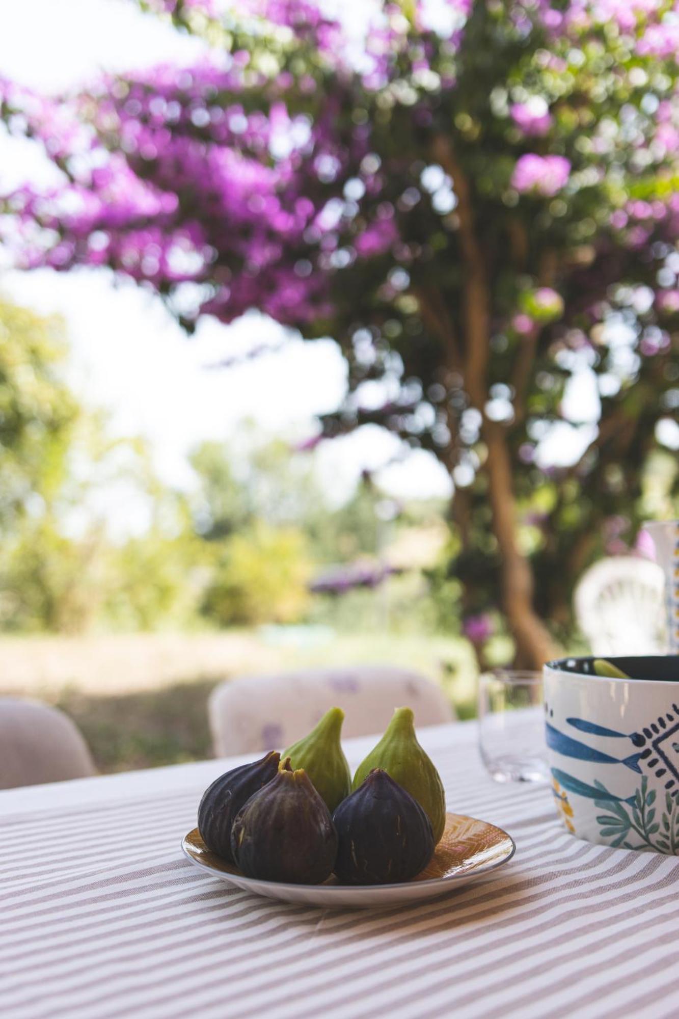 Villa Mariposa Civitanova Marche Eksteriør bilde